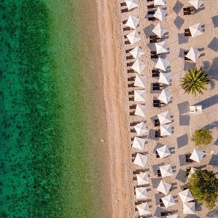 Campsite & Holiday Resort Medveja Kültér fotó
