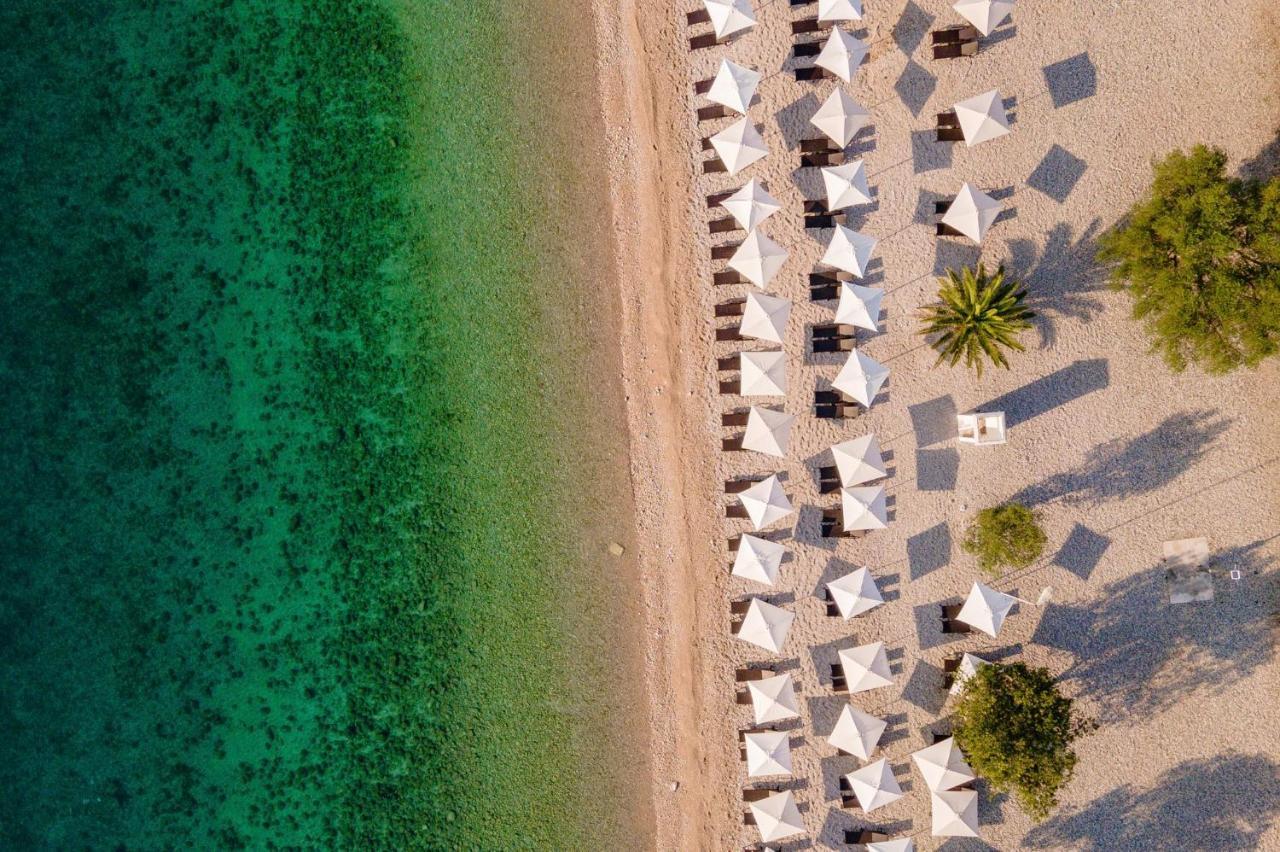 Campsite & Holiday Resort Medveja Kültér fotó