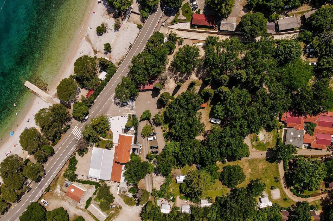 Campsite & Holiday Resort Medveja Kültér fotó