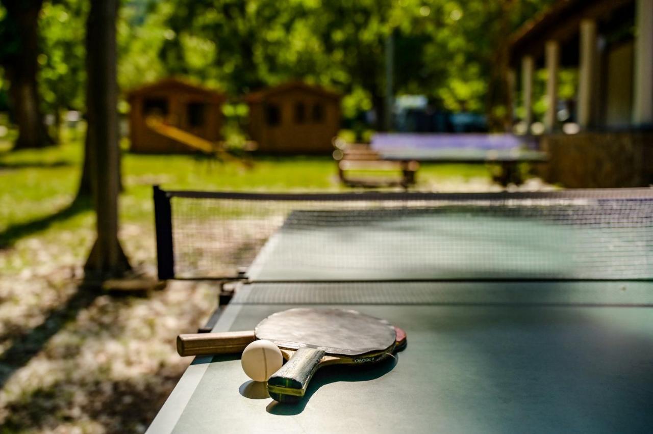 Campsite & Holiday Resort Medveja Kültér fotó